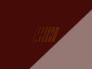 53254 (P106) Бордо