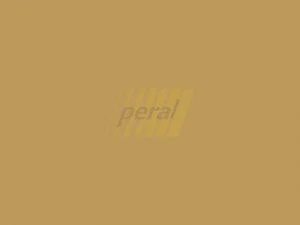 7498 (S104) Каппучино