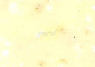 Искусственный камень Bienstone